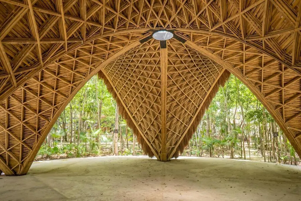 Essentia Luxury Jungle 2Br With Private Pool Apartment Tulum