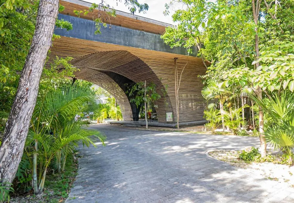Essentia Luxury Jungle 2Br With Private Pool Apartment Tulum